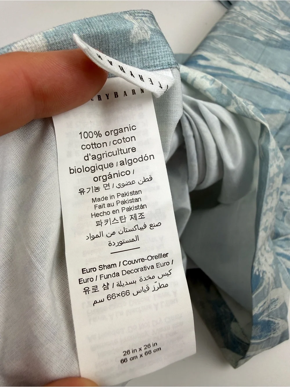 POTTERY BARN Euro Sham Sea Mist Organic Cotton Percale